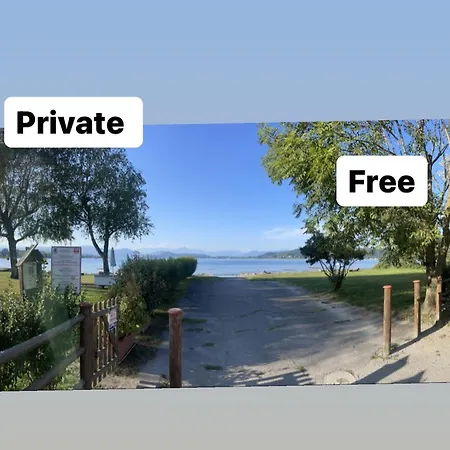 The Ugly Duckling 多米勒托