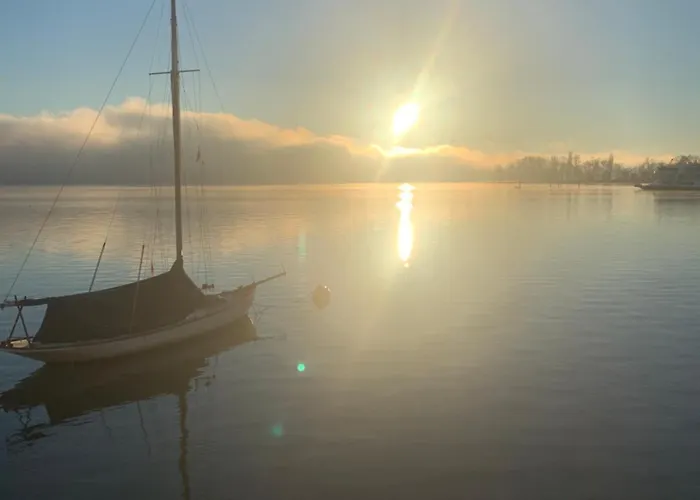 The Ugly Duckling * دورميلّيتّو